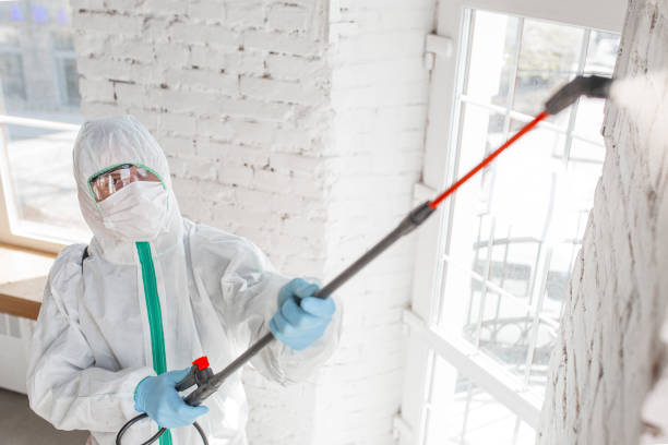 Newport East, RI Mold Inspection, Removal & Remediation Company